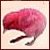 :icongal-actic: