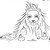 :icongalabraeburn: