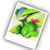 :icongaladriadhar: