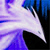 :icongaladrieldraconis: