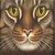 :icongaladybug: