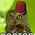 :icongalifreyanowl: