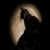 :icongalind: