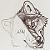 :icongalleryofgray:
