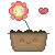 :icongallilea:
