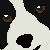 :icongallopandstorm: