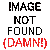 :icongalstaph: