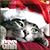 :iconGamar-r: