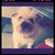 :icongamegirl855:
