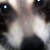 :icongameover2911: