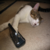 :icongamer-britt: