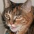 :icongamergal64: