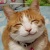 :icongames45: