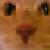:icongamespike13: