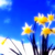 GammaRays--x :icongammarays--x: