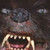 :icongammelgalten: