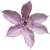 :icongandoon: