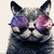 :icongangstacatwithshades: