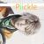 :icongaoumypickle:
