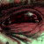 :icongarbageniten: