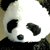 :icongarbonza: