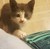 :icongarbs4444:
