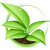 :icongardengatebotanicals: