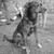 :icongargola360: