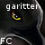 :icongaritterfanclub: