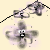 :icongarnet-rayne: