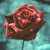 :iconGarnetFire: