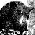 :icongarouthebear: