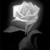 :icongarrett012: