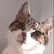 :icongarygary88: