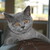 :icongaryjohn2206: