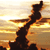 :icongasparillaskies: