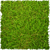 :icongataborralheira: