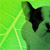 :icongatorfreeart: