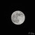 :icongatphoto: