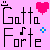 :iconGattaForte:
