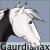 :icongaurdianax: