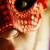 :icongavalexis-on-fire: