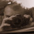 :icongawel22: