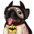 :icongayberries:
