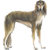 :icongazelle-hound: