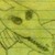 :icongdjt: