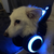 :icongearsgrunt117: