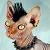 :icongeasavenger: