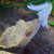 :icongeckolein: