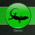 :icongeckomyecho: